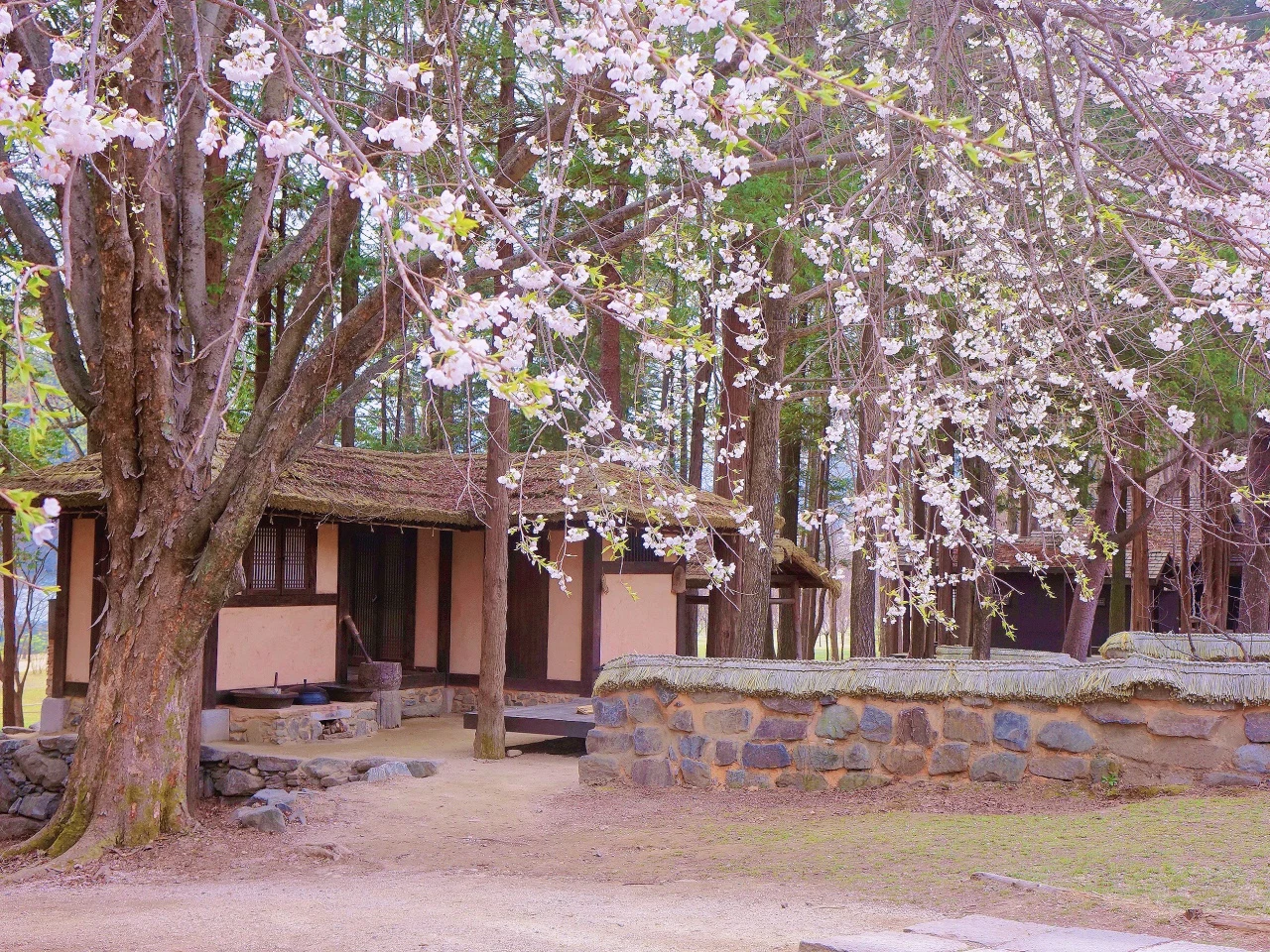 Nami Island Ticket