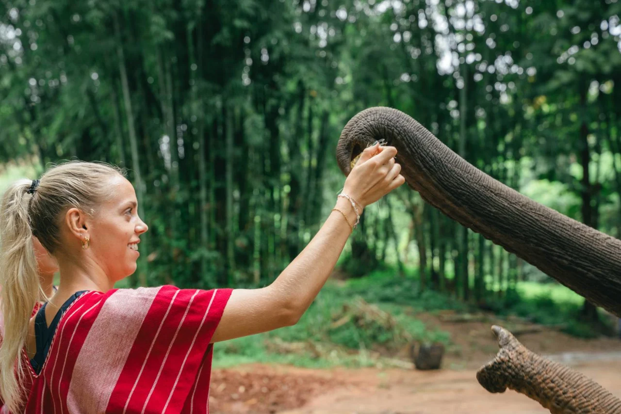 Chiang Mai Kerchor Elephant Eco Park Tour (from Chiang Mai)