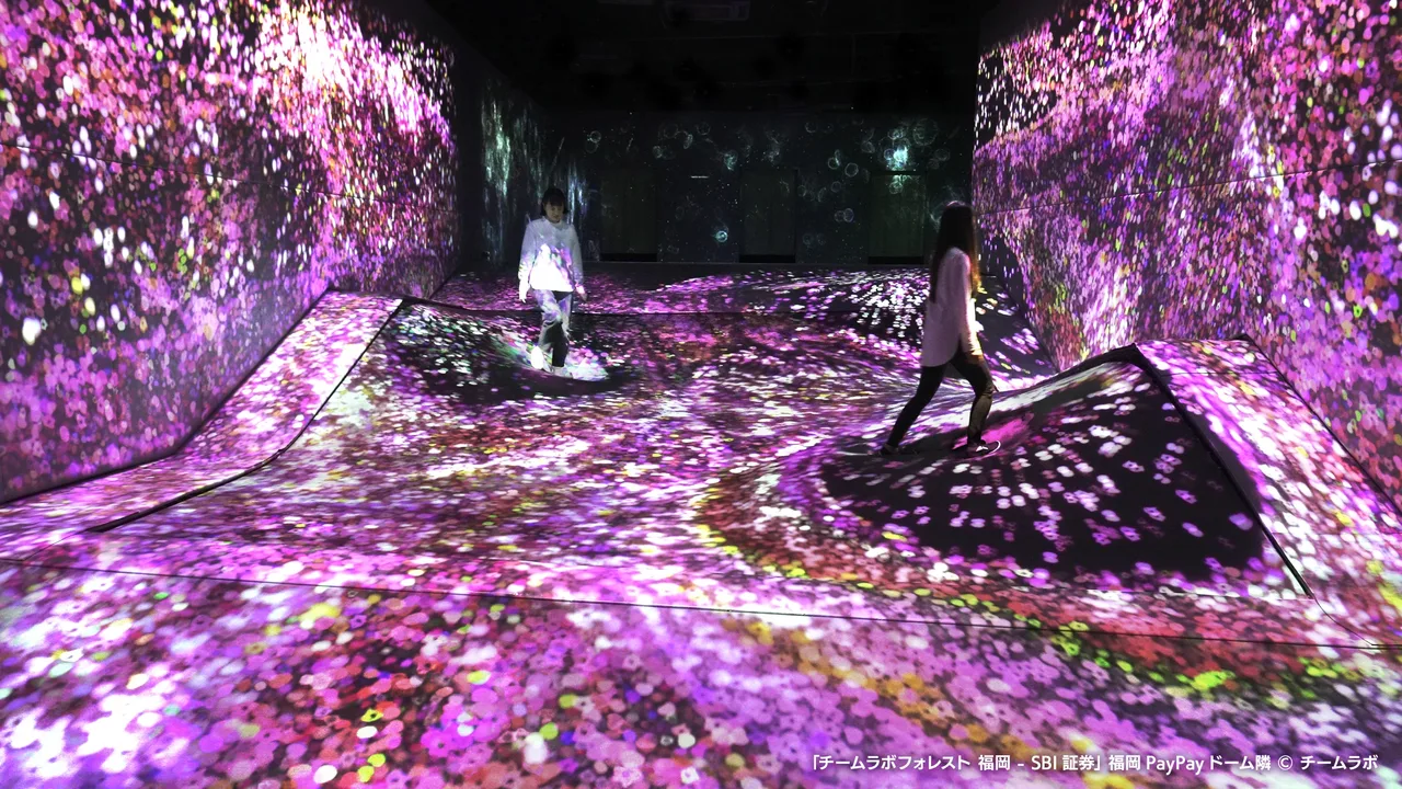 teamLab Forest Fukuoka Ticket