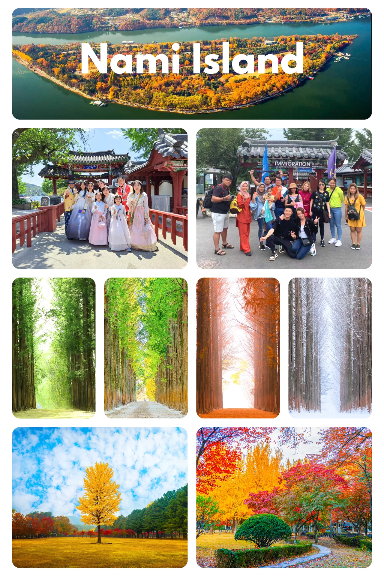Nami Island / Alpaca/Rail Bike/Petite France/Morning Calm 1Day Tour