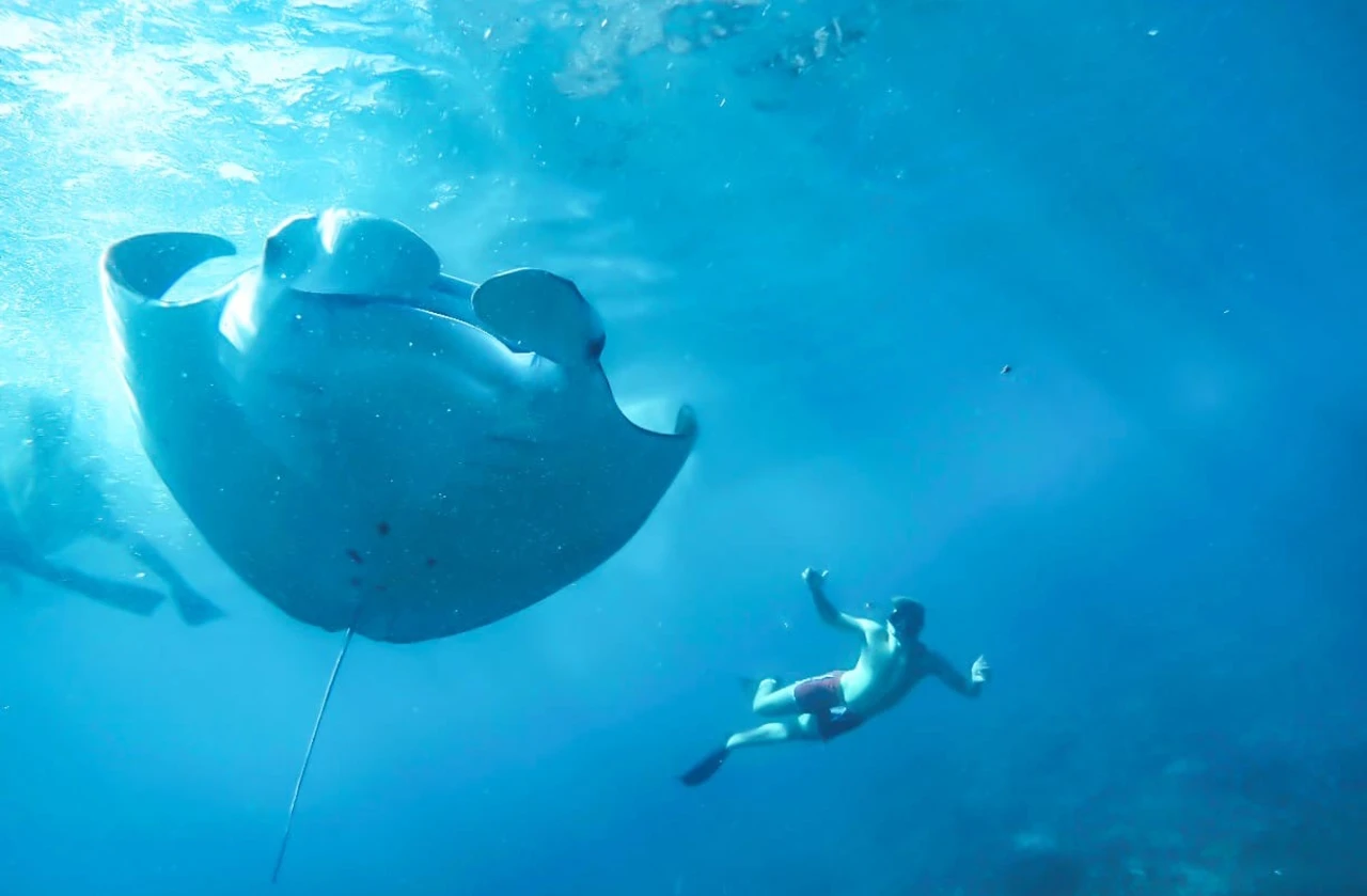 Nusa Lembongan and Manta Bay Snorkeling Experience 