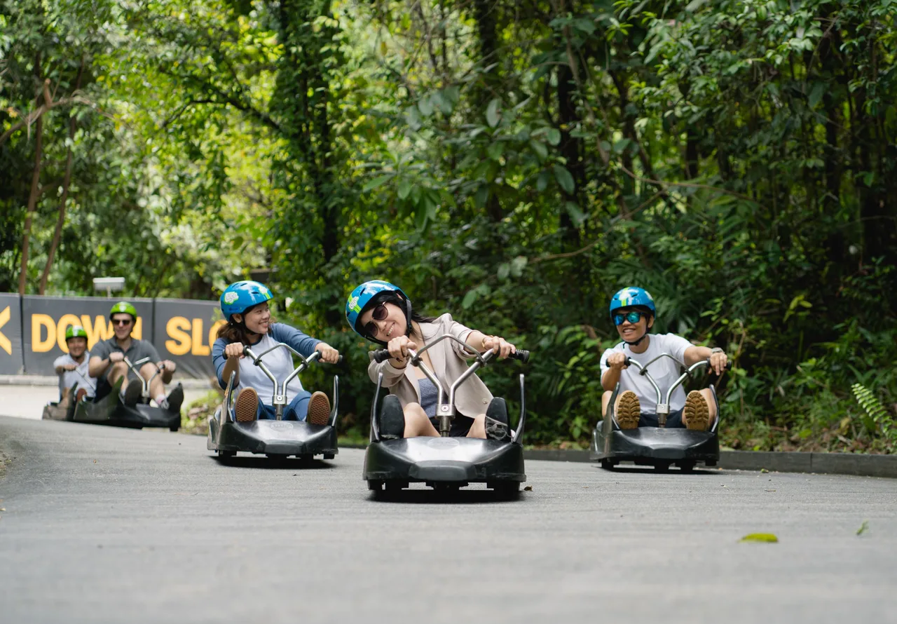 Skyline Luge Singapore Ticket
