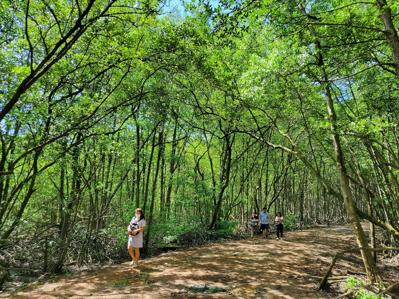 Explore Monkey Island - Can Gio Biosphere Reserve Day Tour
