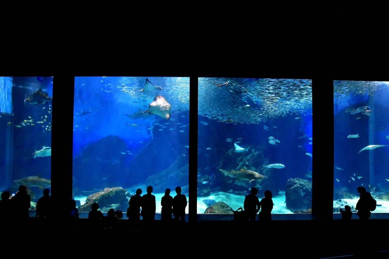 Uminonakamichi Marine World Admission Ticket in Fukuoka 