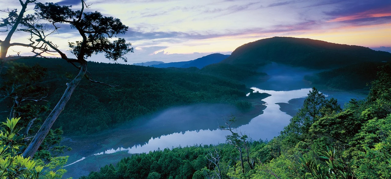 Taipingshan National Forest Recreation Area Ticket in Yilan