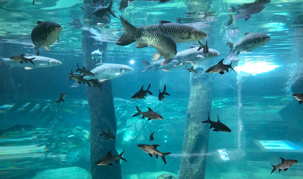 Underwater World Langkawi Ticket