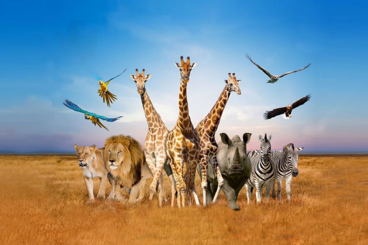 Safari World Bangkok Ticket