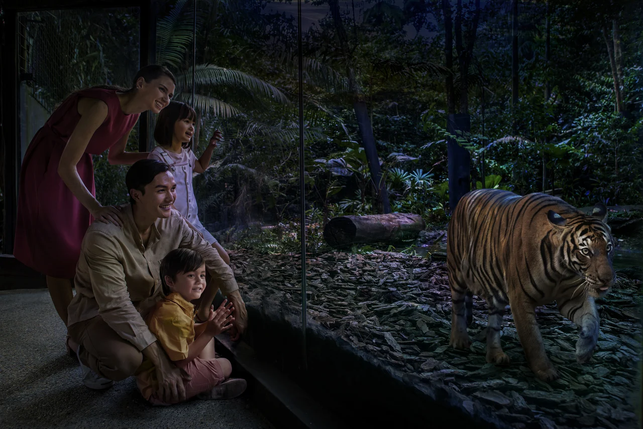 Night Safari Ticket | Mandai Wildlife Reserve, Singapore