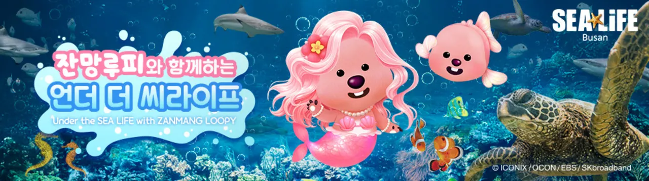 Busan SEA LIFE Aquarium / Brickman Admission Ticket