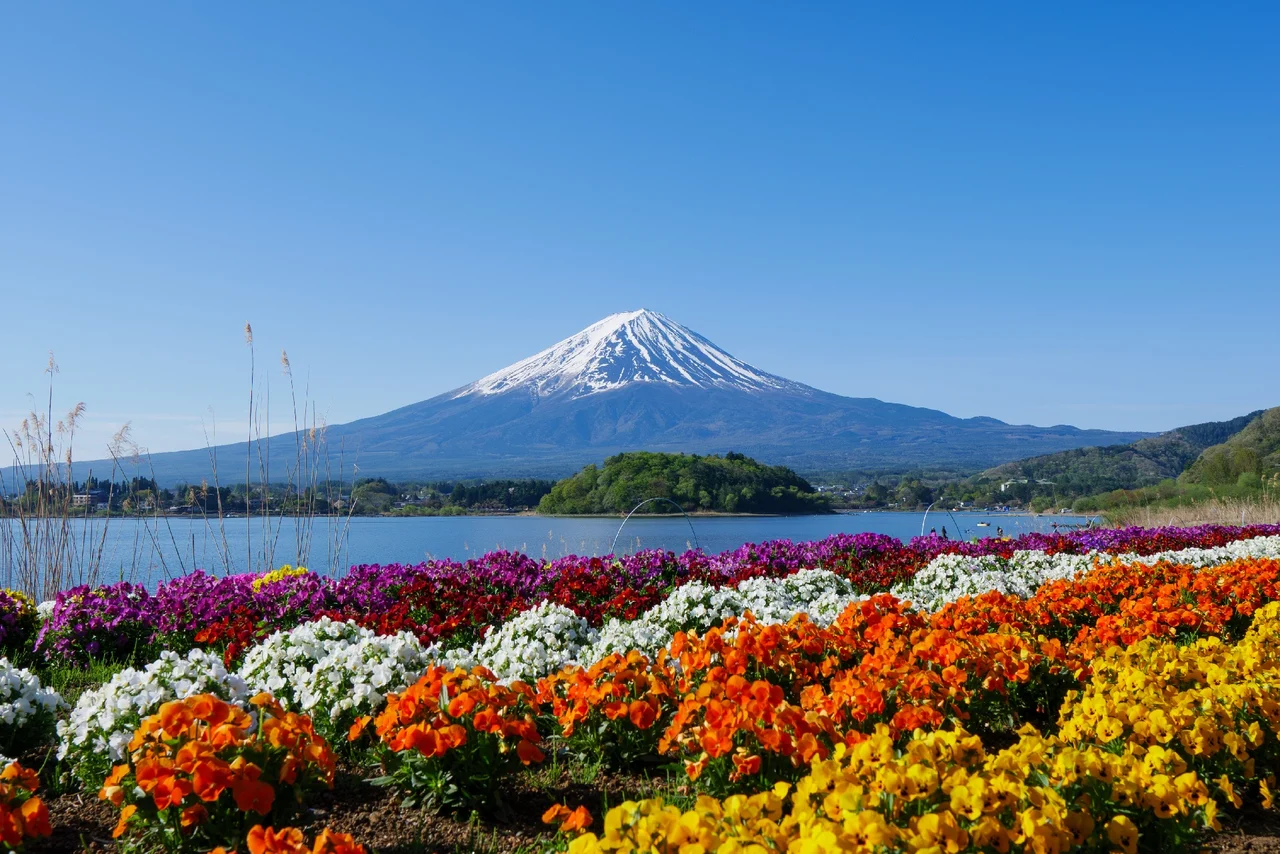 [One-Day Tour Exploring the Magnificent Views of Mount Fuji] Arakurayama Sengen Park & Lake Kawaguchi Oishi Park & Oshino Hakkai & Instagram-Famous Lawson & Nikawa Tokeiten (Departure from Tokyo)