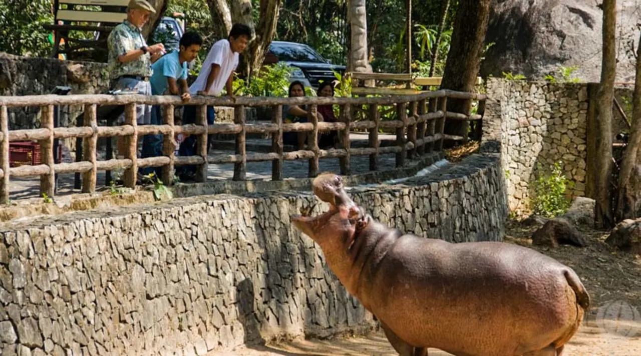 Khao Kheow Open Zoo Ticket