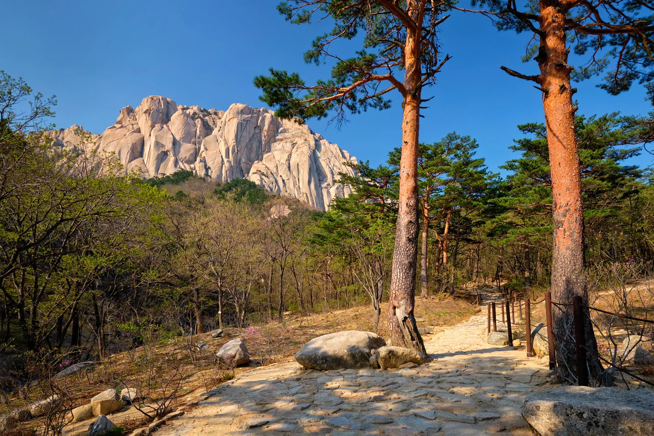Seoraksan National Park & Naksansa Temple Full-Day Tour