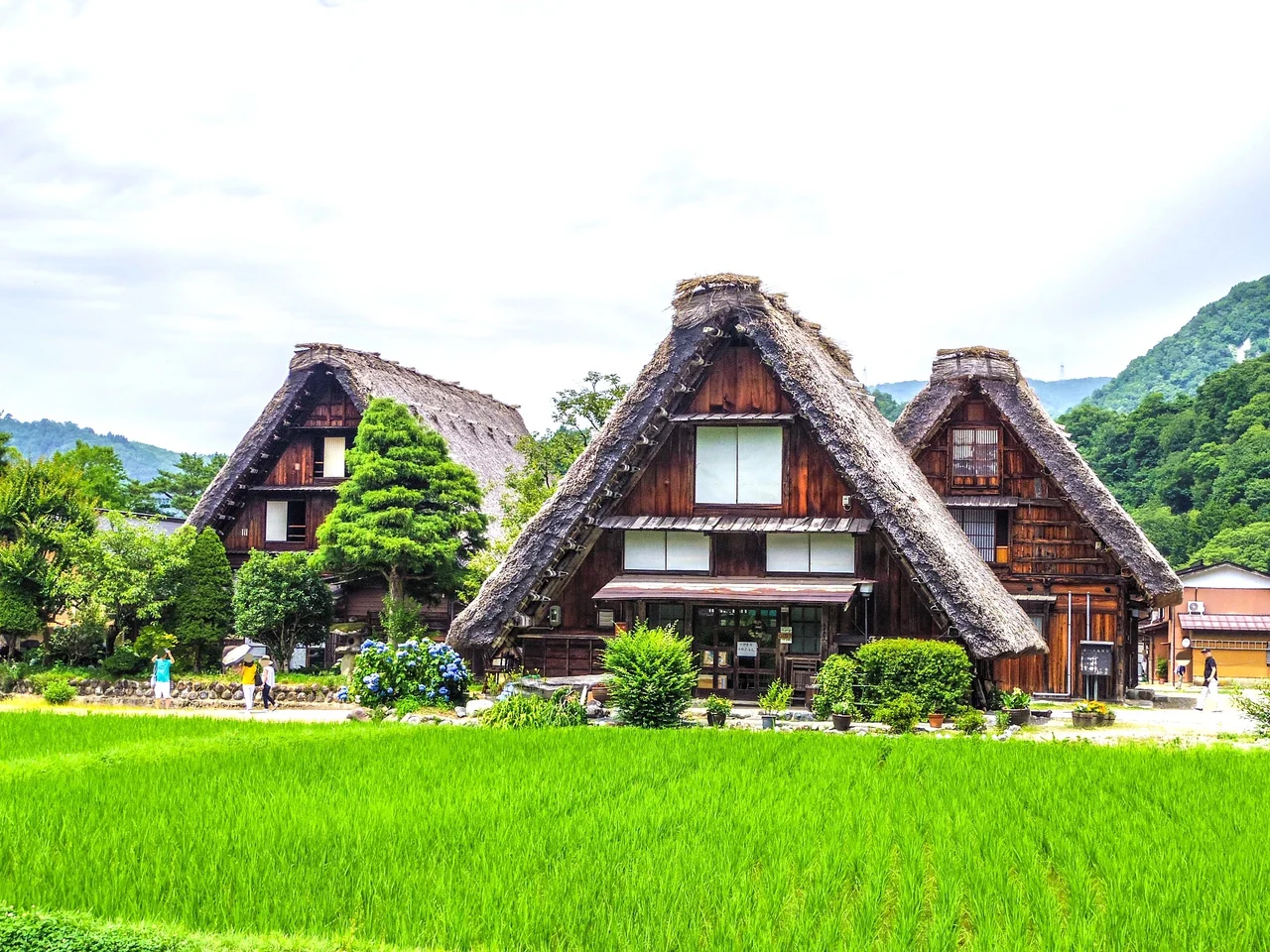 Takayama & Shirakawa-go Day Tour with Hida Beef Lunch