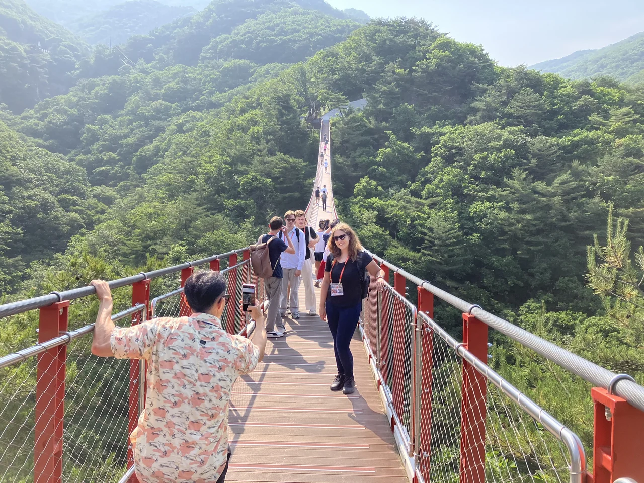 DMZ Tour: Red Suspension Bridge & Observatory from Seoul