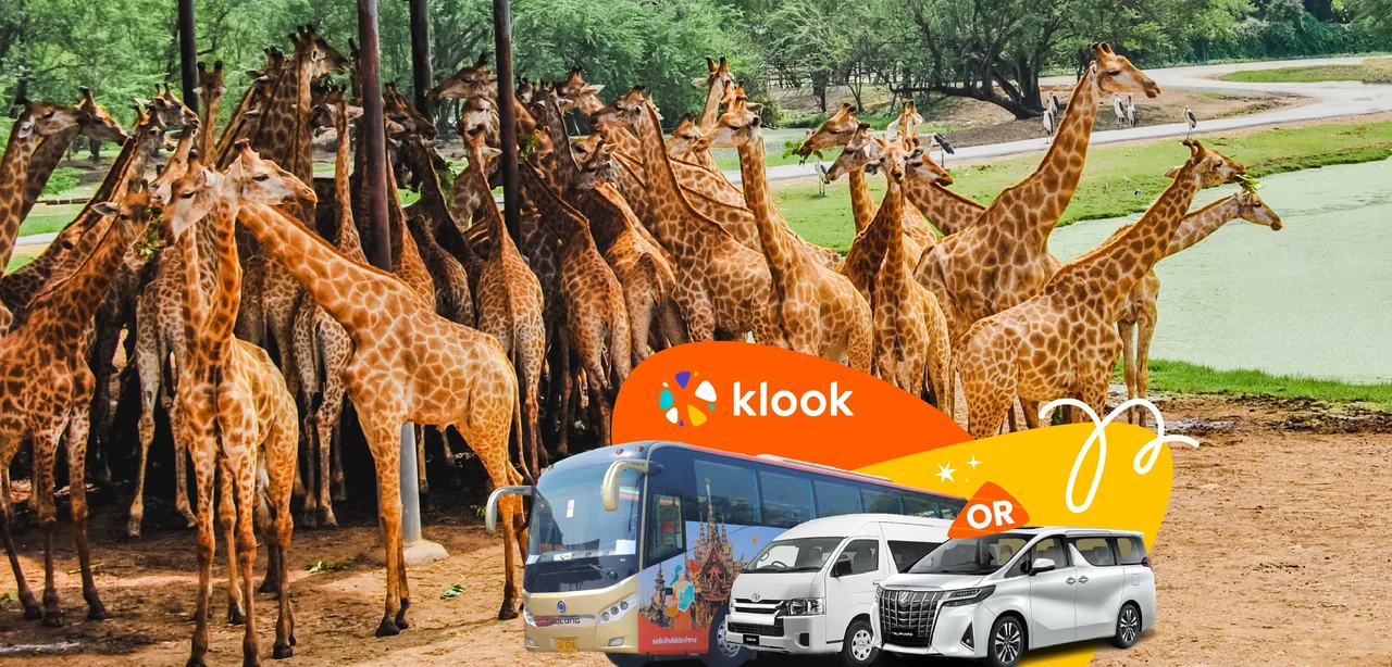 Bangkok Safari World Shared and Private Transfers Service 