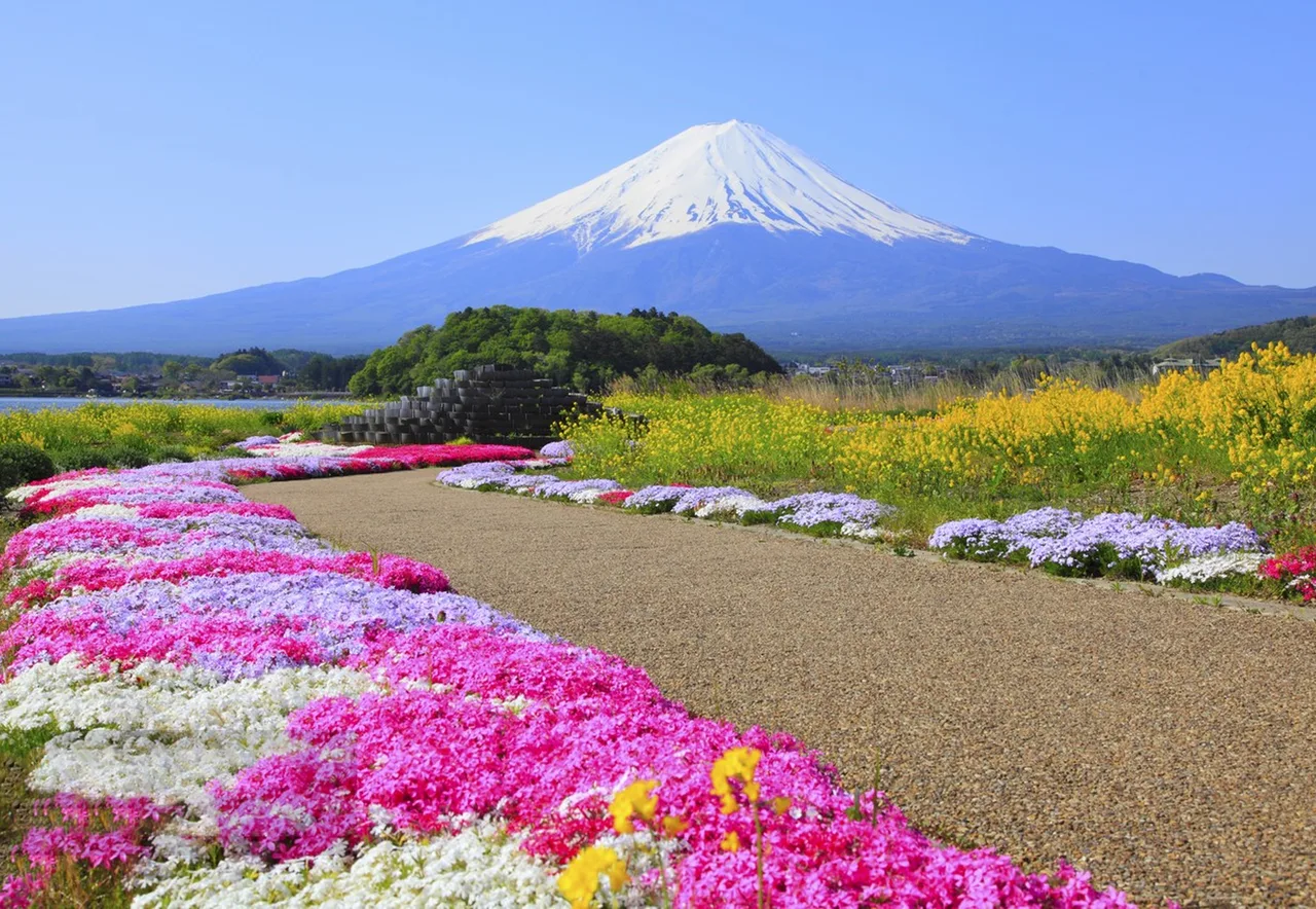 [Mount Fuji, Hakone, Kawaguchiko Flower Viewing] Owakudani with Ropeway & Lawson Convenience Store & Arakurayama Sengen Park & Lake Kawaguchiko Oishi Park Day Trip (From Tokyo)