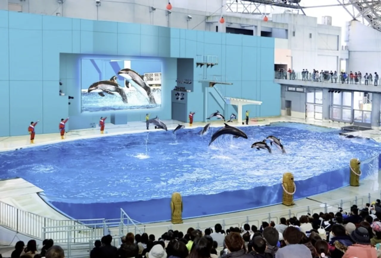 Yokohama Hakkeijima Sea Paradise Ticket