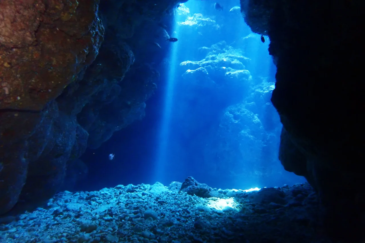 Blue Cave Snorkeling & Scuba Diving Experience