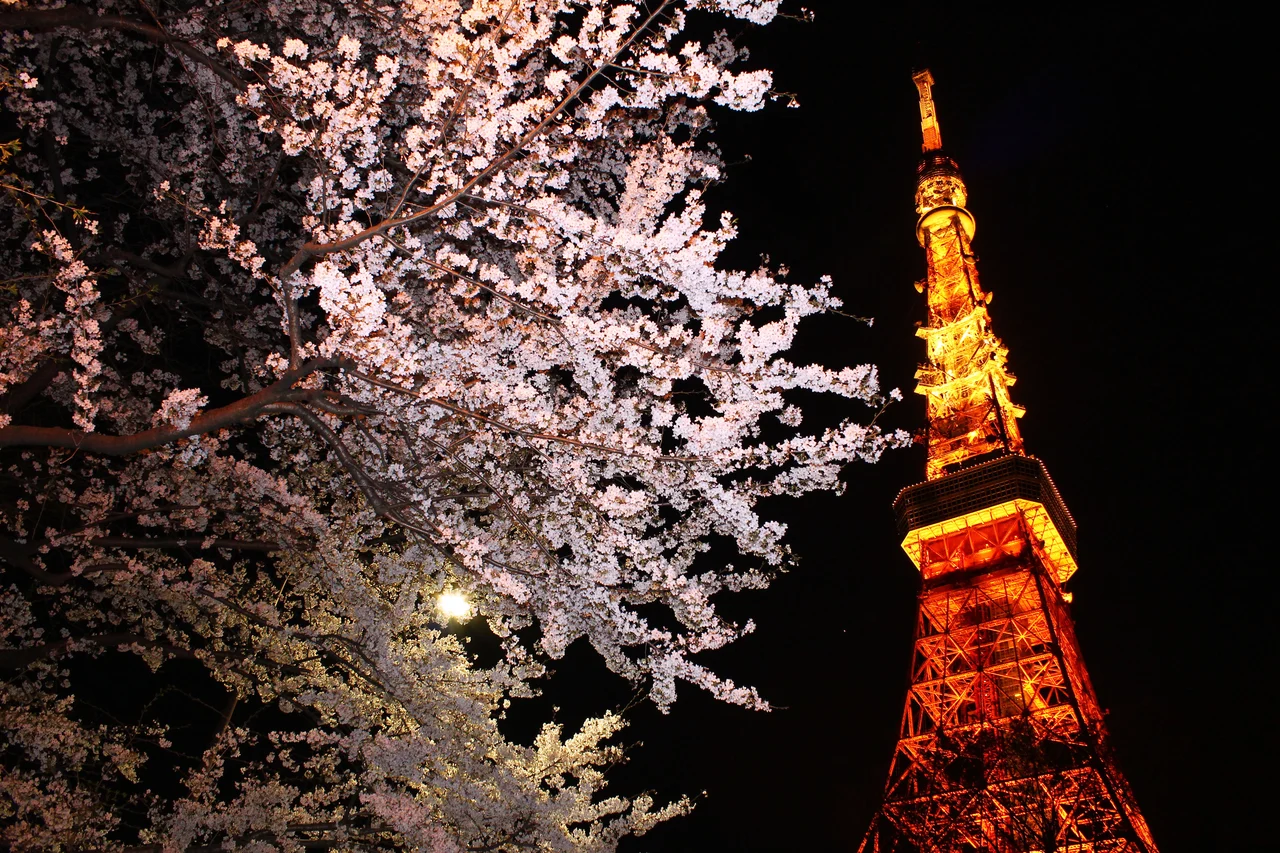 Tokyo Tower Ticket