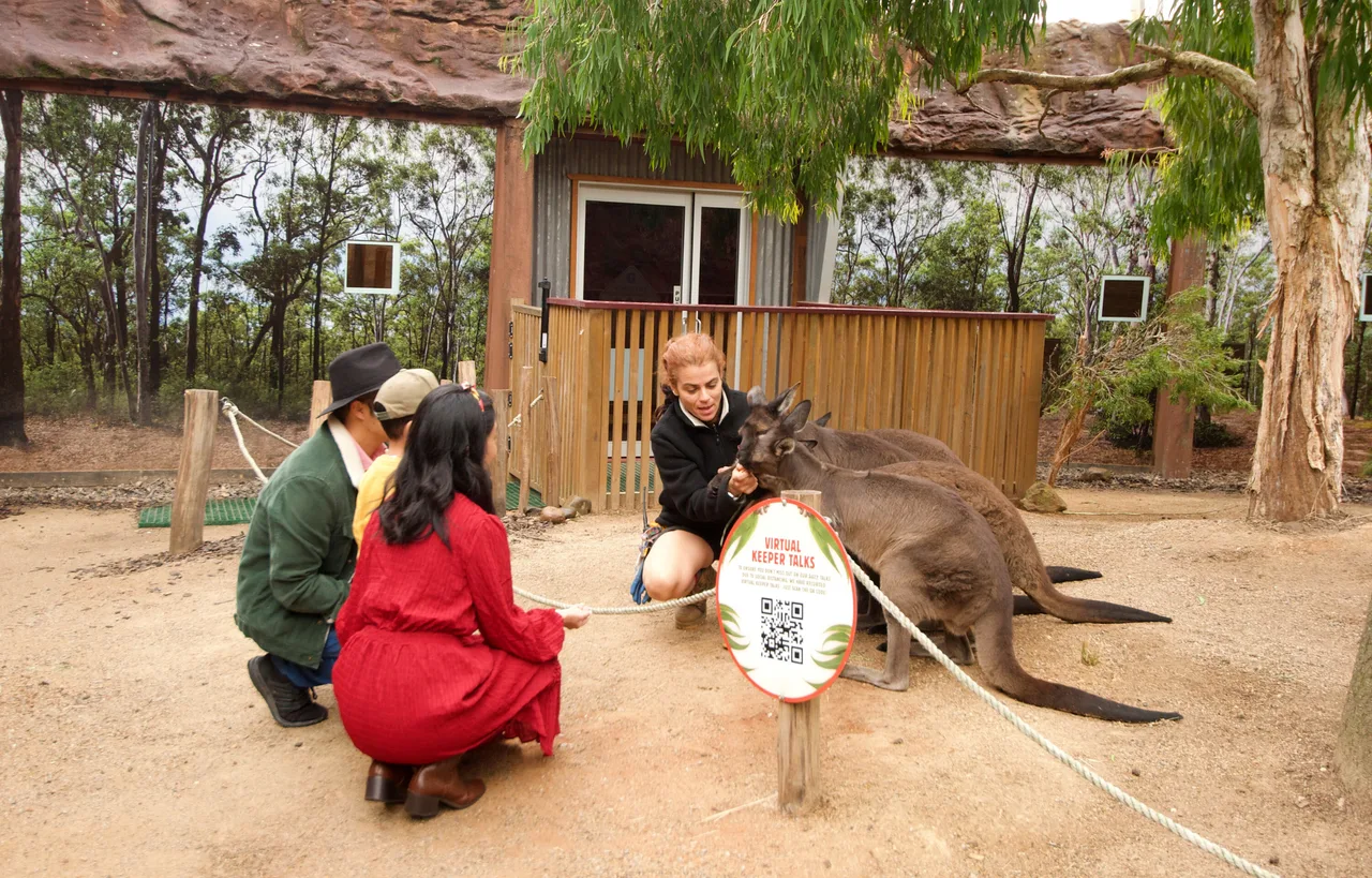 Sydney Attraction Pass