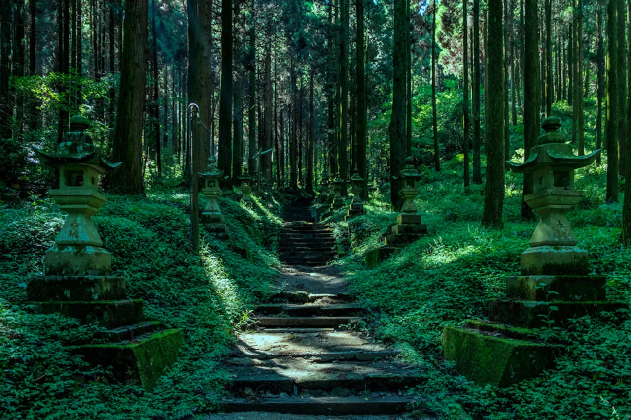 Kyushu One-Day Tour: Kamishikimi Kumanoza Shrine & Mount Aso (with shuttle bus) & Kurokawa Onsen/Kumamoto Castle (Chinese and English guide, departing from Fukuoka/Kumamoto)