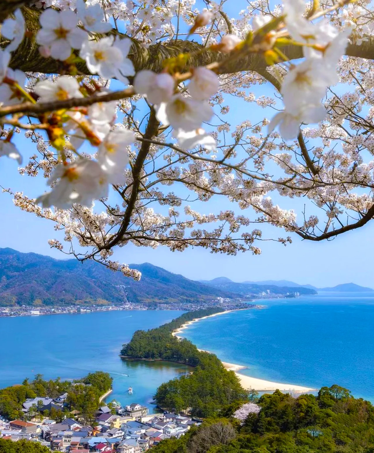 Kyoto Amanohashidate & Ine Funaya Day Trip (Optional Tango Train and Miyama Route)