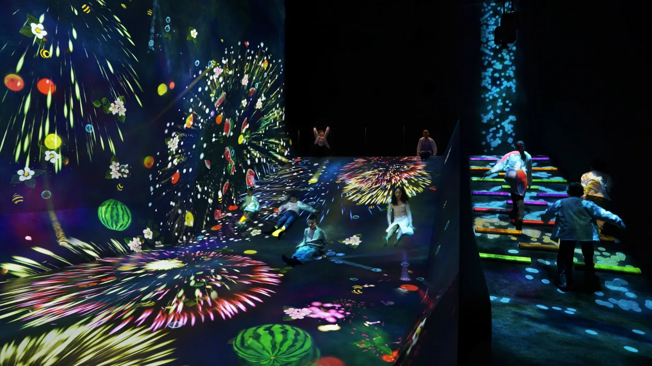 teamLab Planets TOKYO Ticket