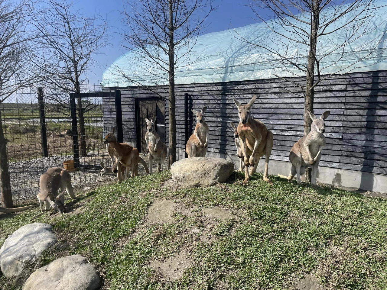 Yilan Lanyang Animal and Plant Kingdom Tickets