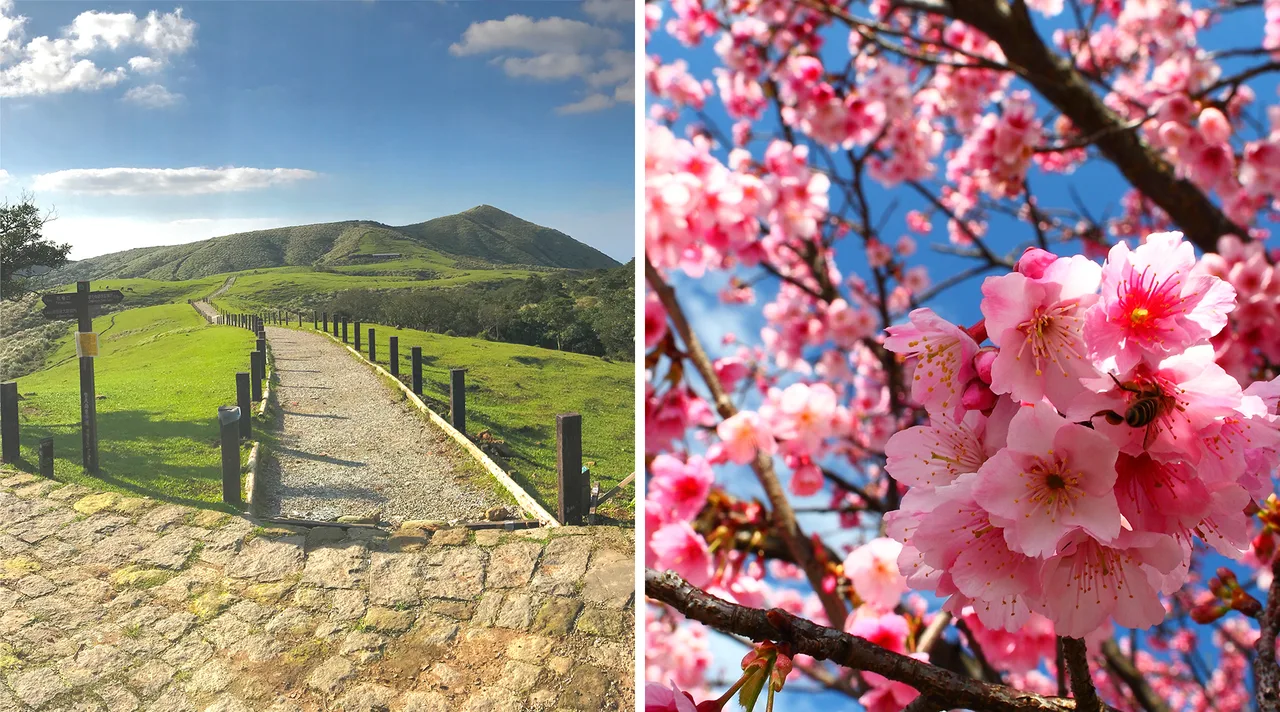 Taipei Small-Group Day Tour: Qingtiangang, Yangmingshan, Beitou