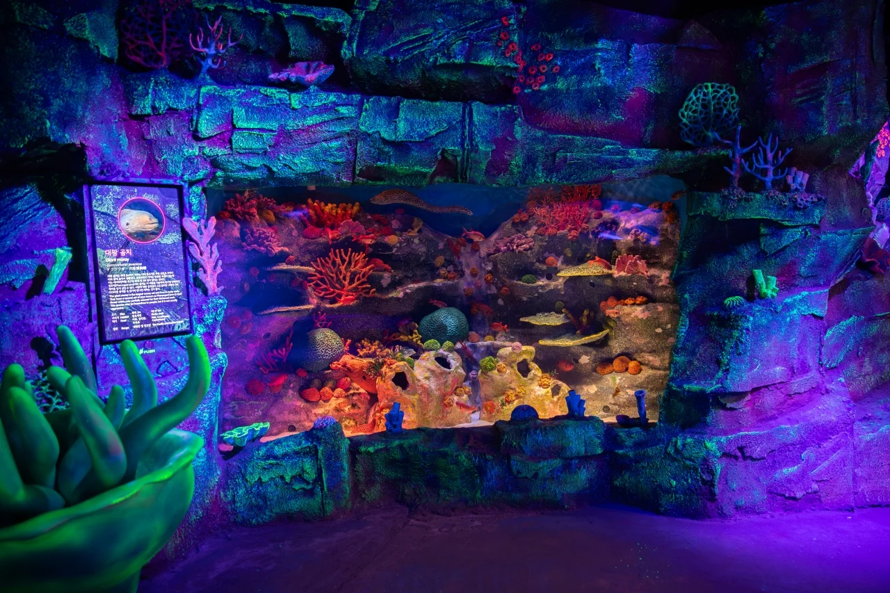 Busan SEA LIFE Aquarium / Brickman Admission Ticket