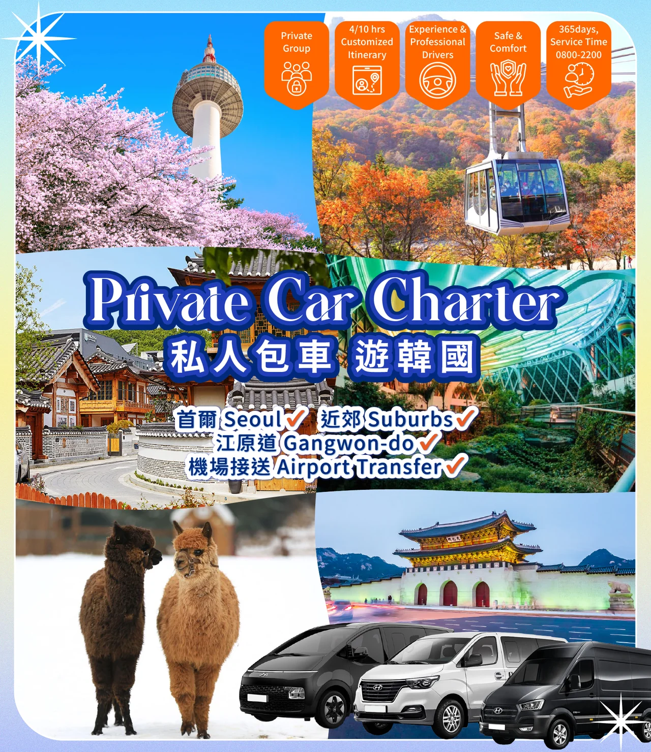 Private K-Drama Tour: Seoul Private Car Charter to Nami / Alpaca World / Sokcho / Gangneung
