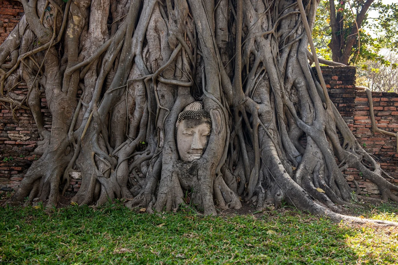 Ayutthaya Historical Park & Bang Pa-In Royal Palace Full-Day Tour