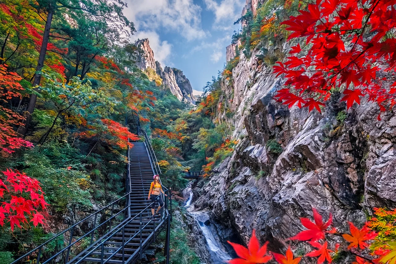 Nami Island & Mt.Seorak & Alpaca Seasonal Tour