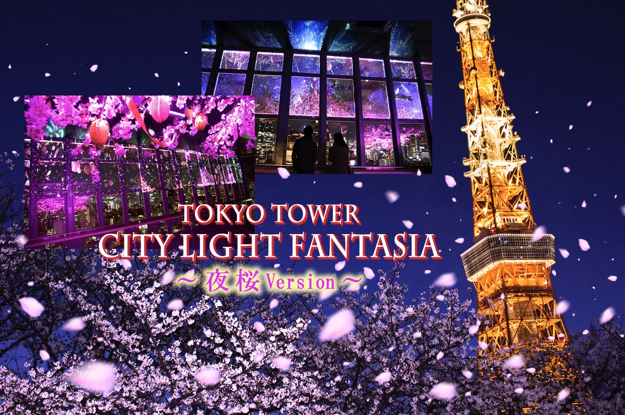 Tokyo Tower Ticket