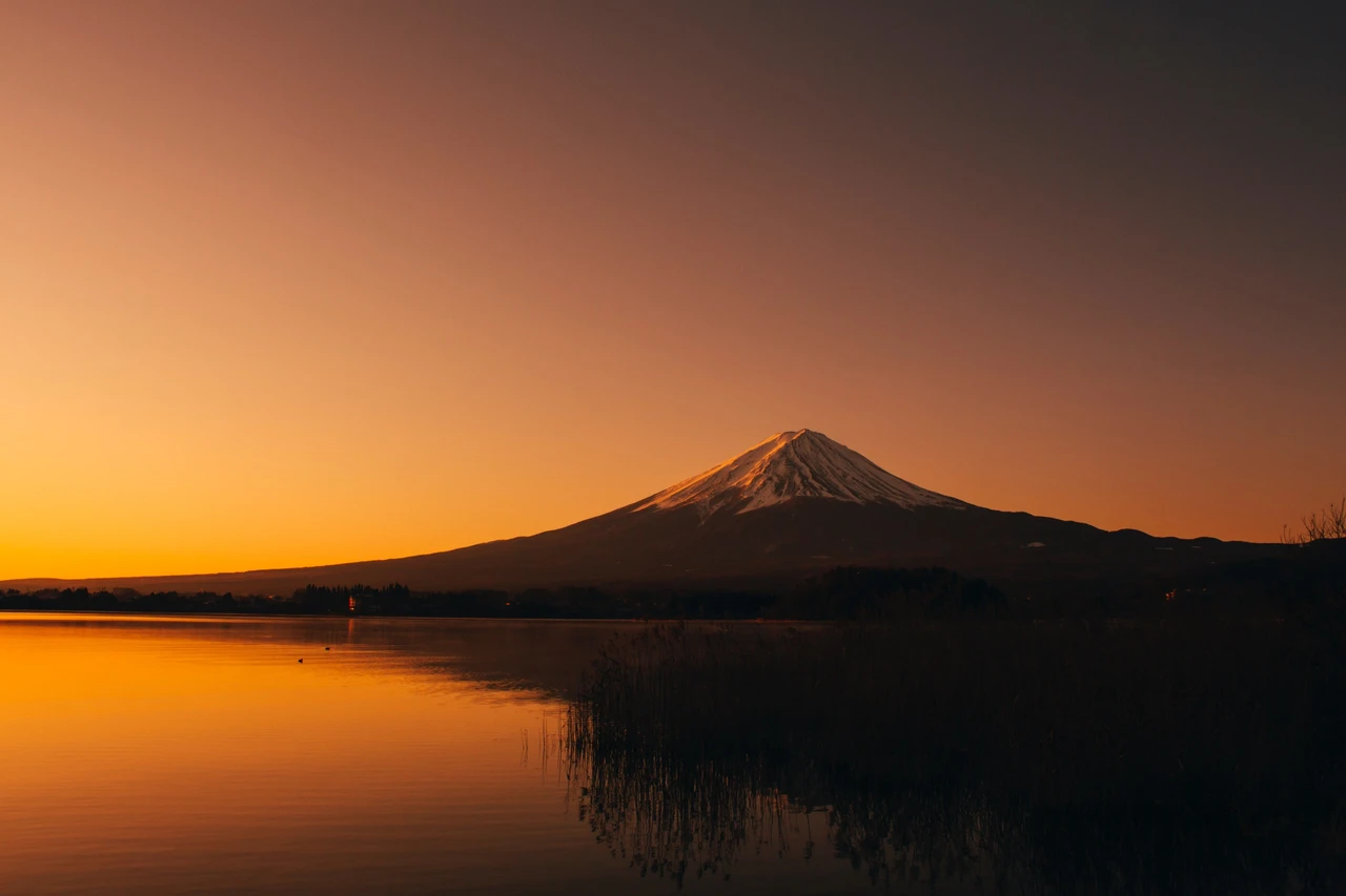 Mt. Fuji Day Tour: Flower Sightseeing & Outlet Shopping from Tokyo