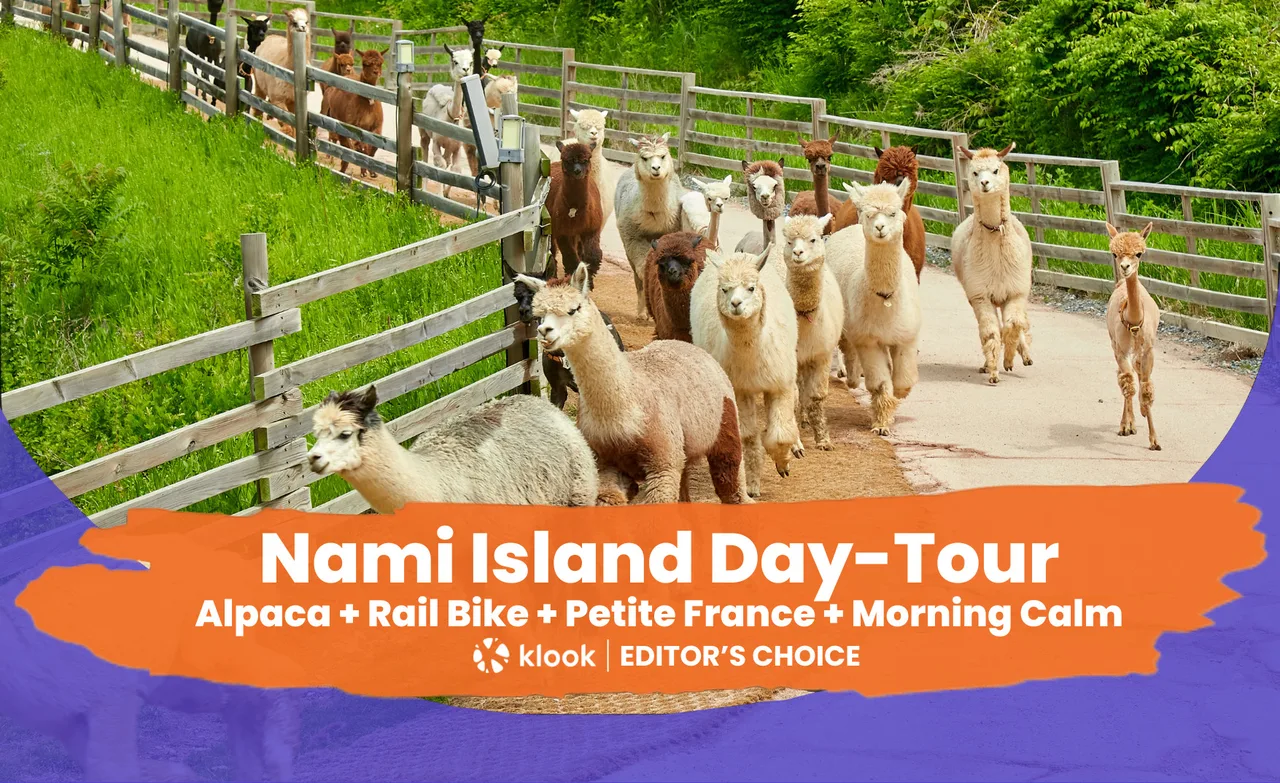 Nami Island / Alpaca/Rail Bike/Petite France/Morning Calm 1Day Tour