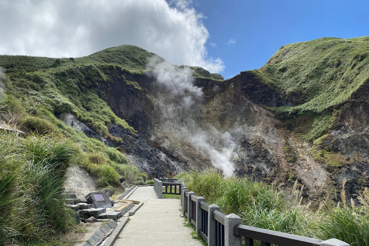 Yangmingshan, Beitou, Qingtiangang Flower Blossom Tour(Hotel Pickup)