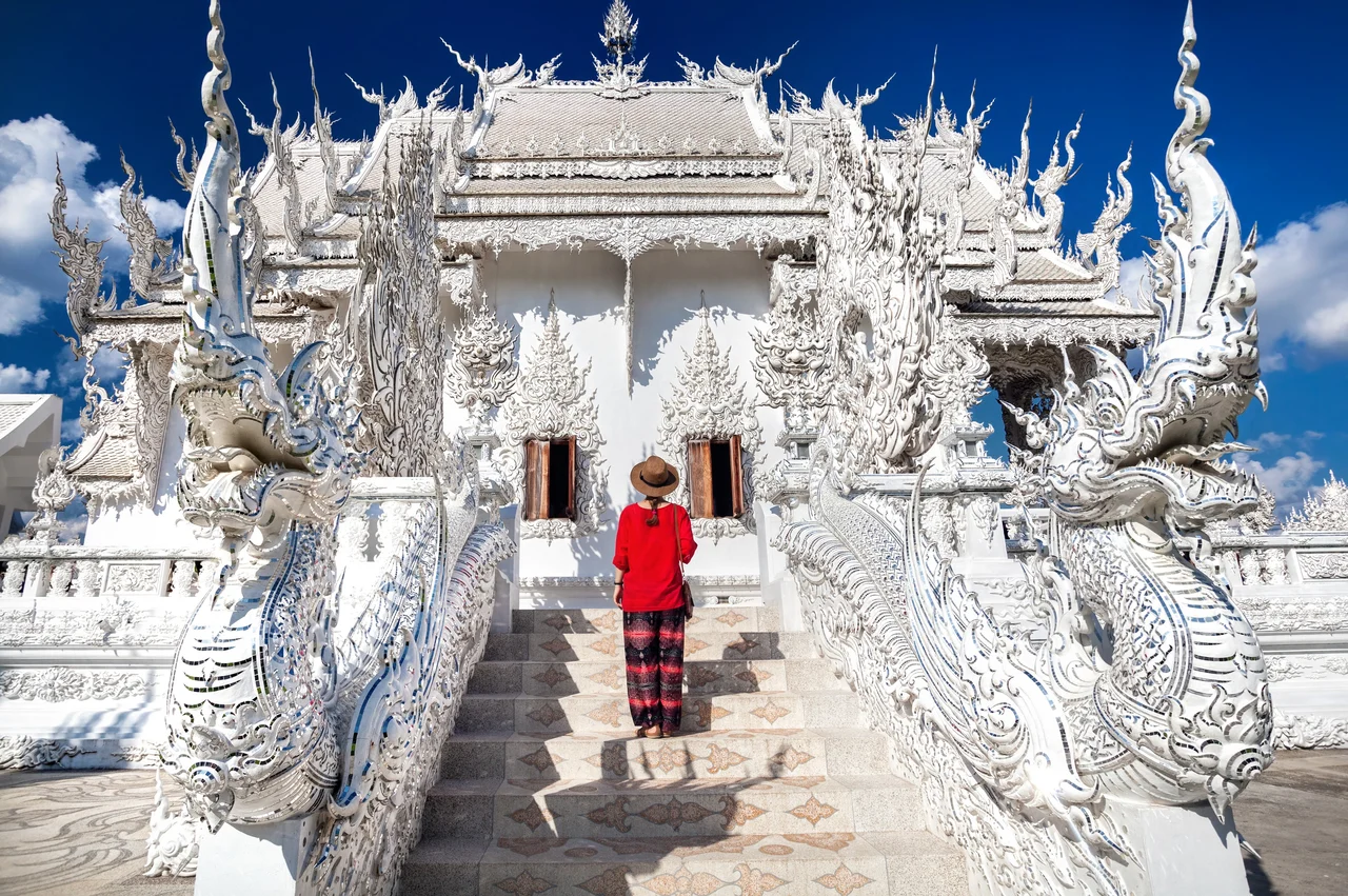 Chiang Rai White, Blue Temple, Black House Museum, Hot Spring Tour
