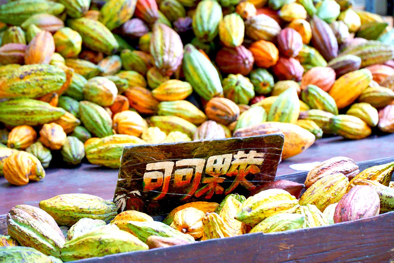 A-Shin Choco Farm Ticket in Pingtung