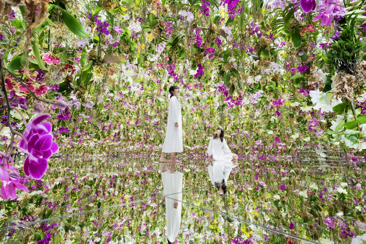 teamLab SuperNature Macao Ticket - The Venetian Macao