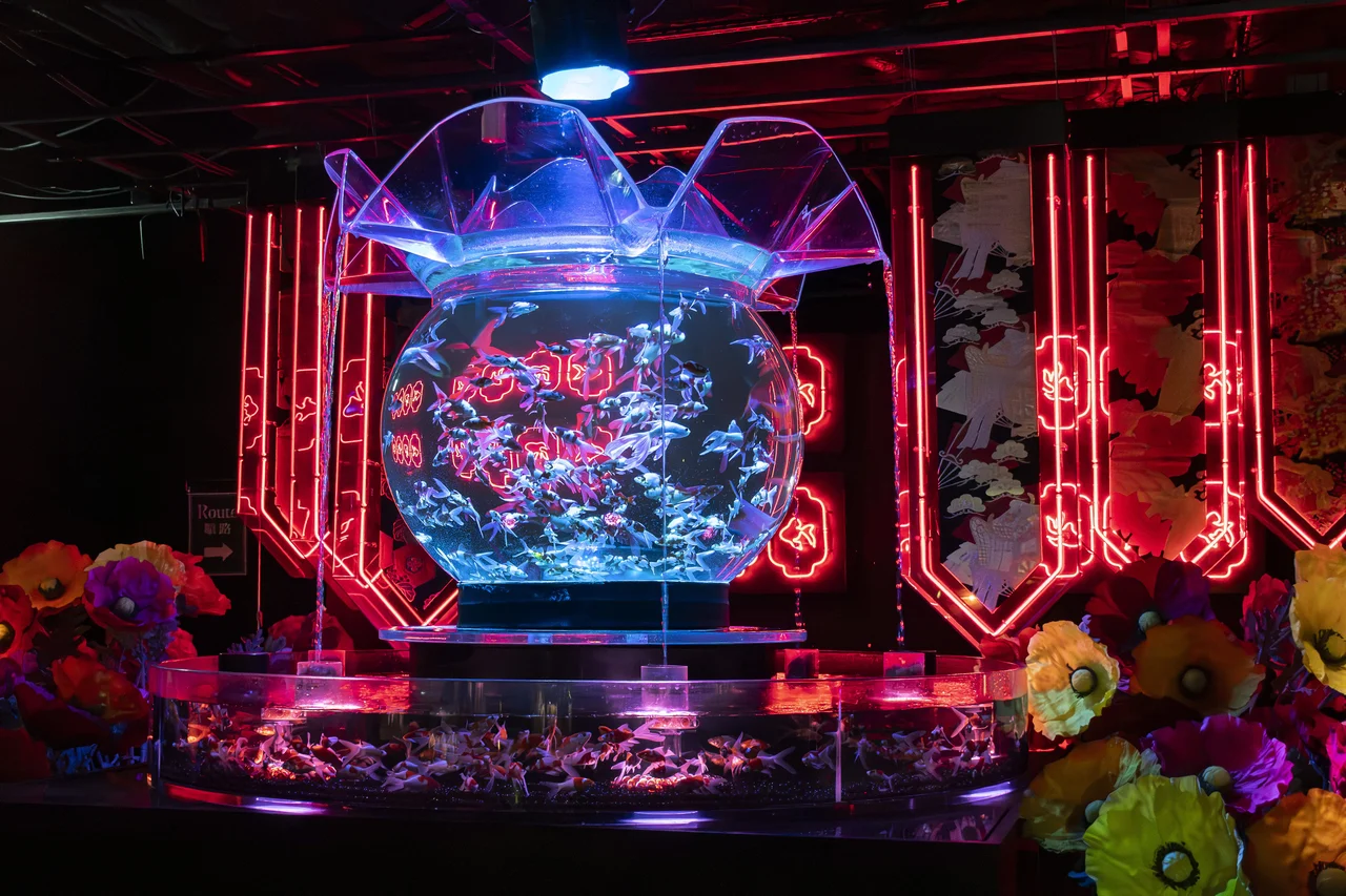 Art Aquarium Museum GINZA Ticket