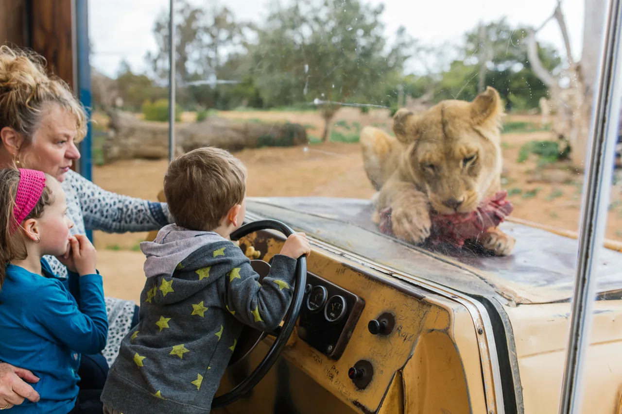 Werribee Open Range Zoo Ticket