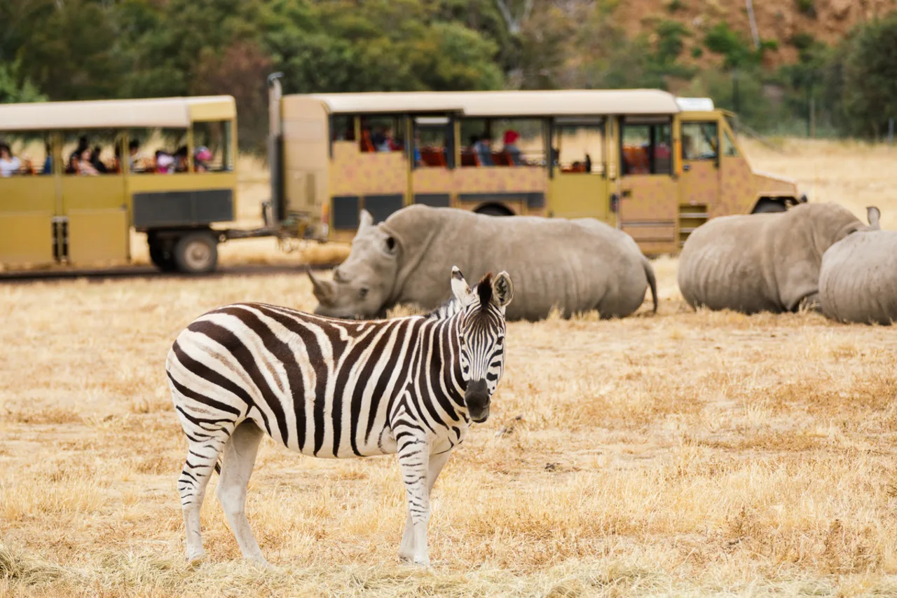 Werribee Open Range Zoo Ticket