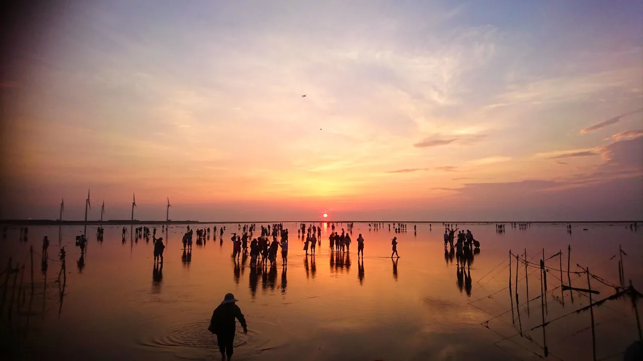 Gaomei Wetlands & Taichung Opera House & Zhongshe Flower Market & Miyahara Ice Cream & Rainbow Village One-Day Tour (with complimentary bubble tea)