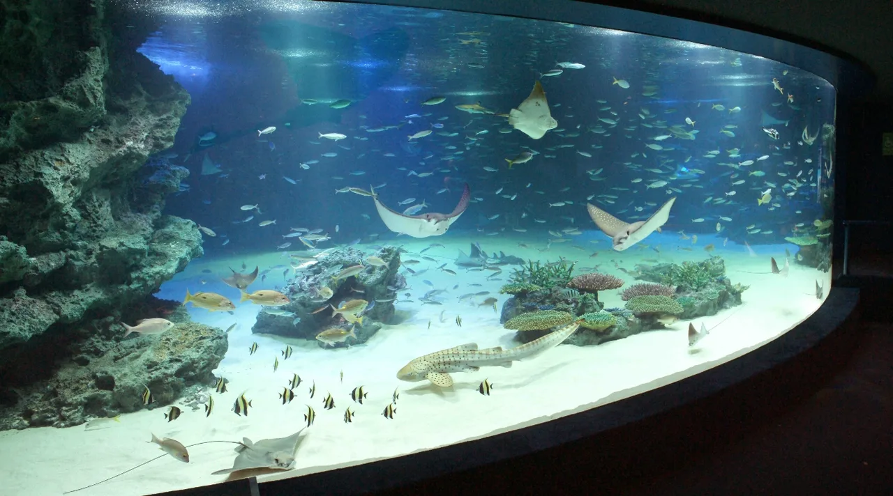 Sunshine Aquarium Ticket in Tokyo