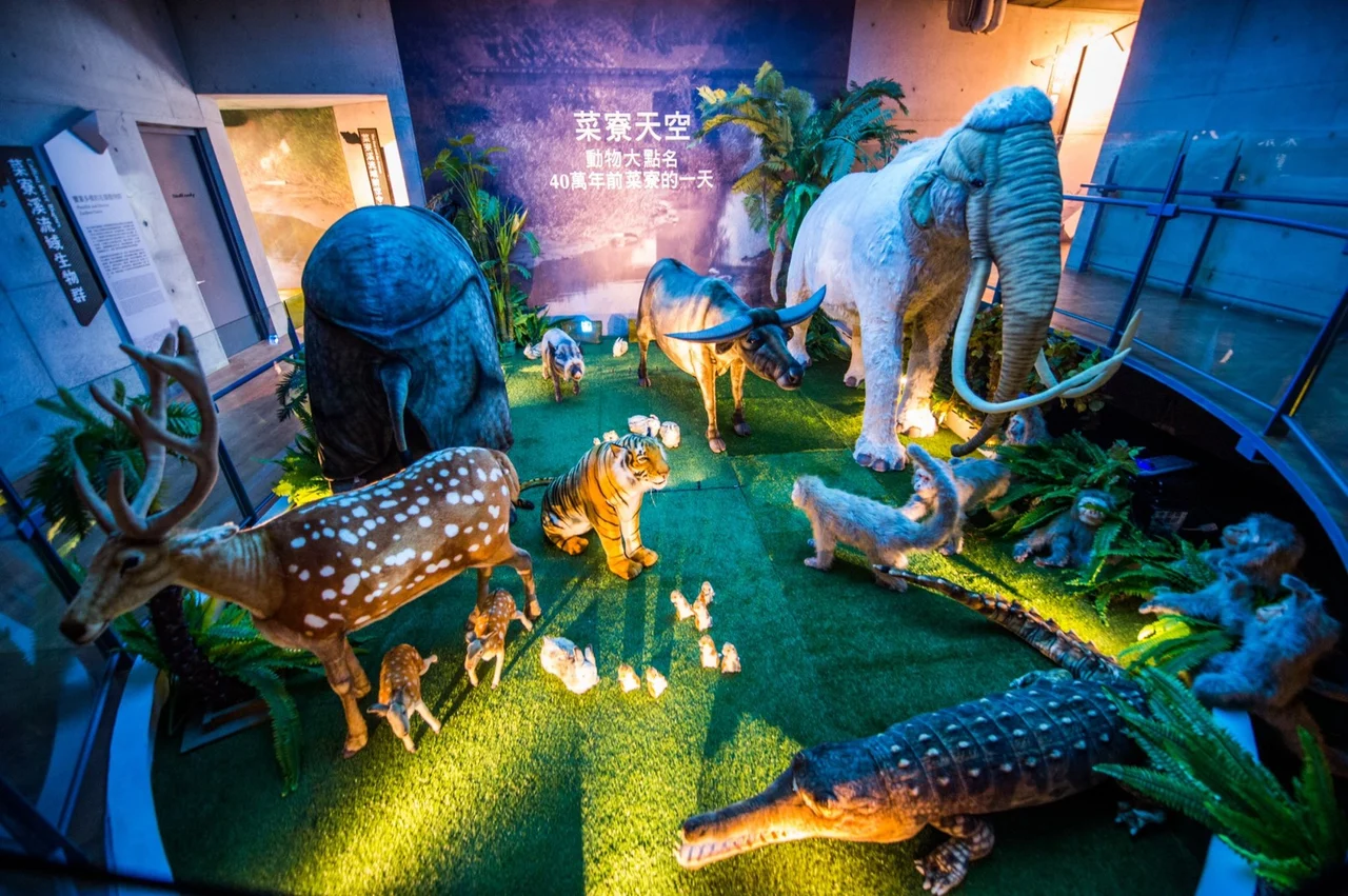 Tainan City Zuojhen Fossil Park Ticket