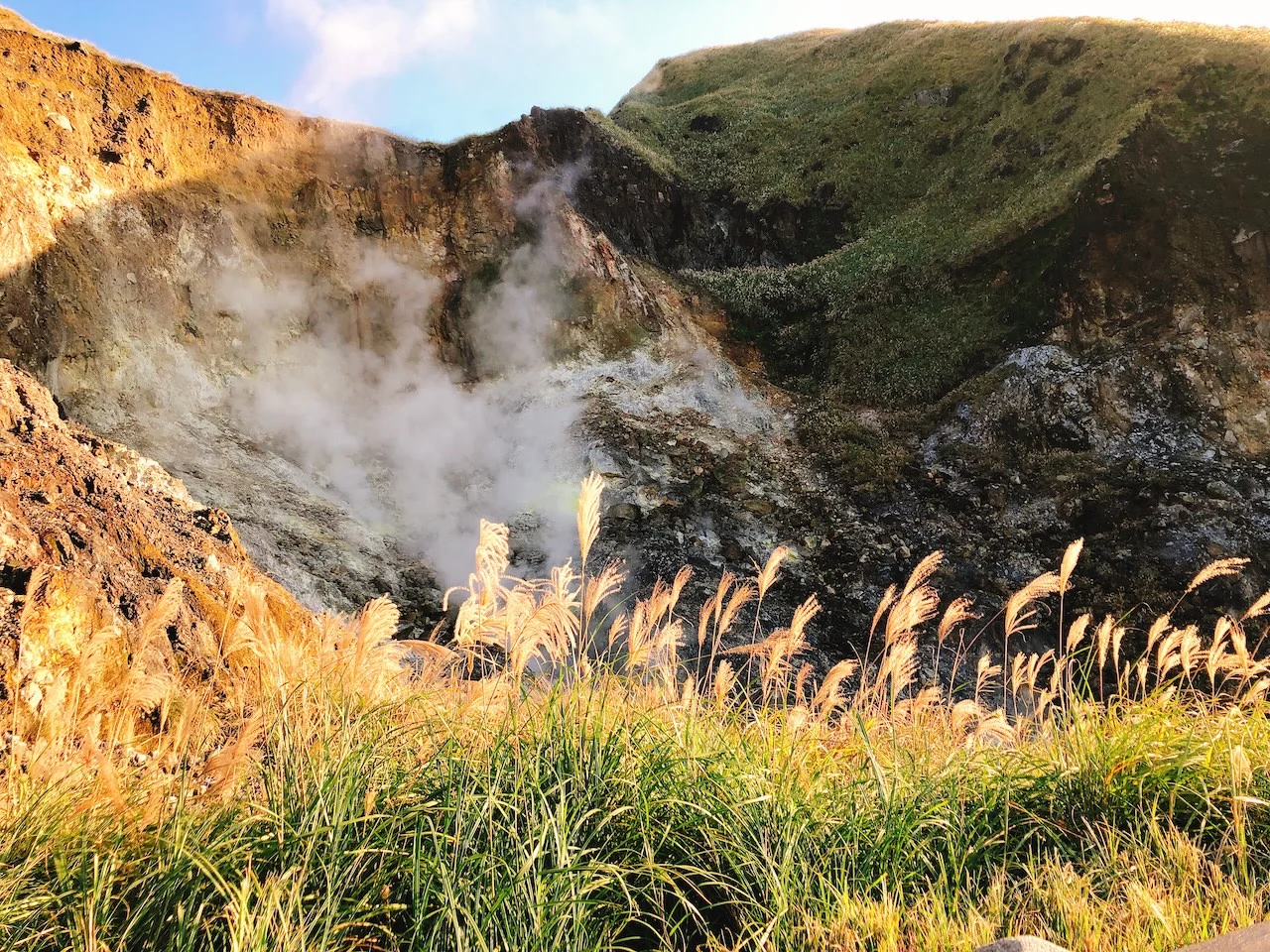 Taipei Small-Group Day Tour: Qingtiangang, Yangmingshan, Beitou