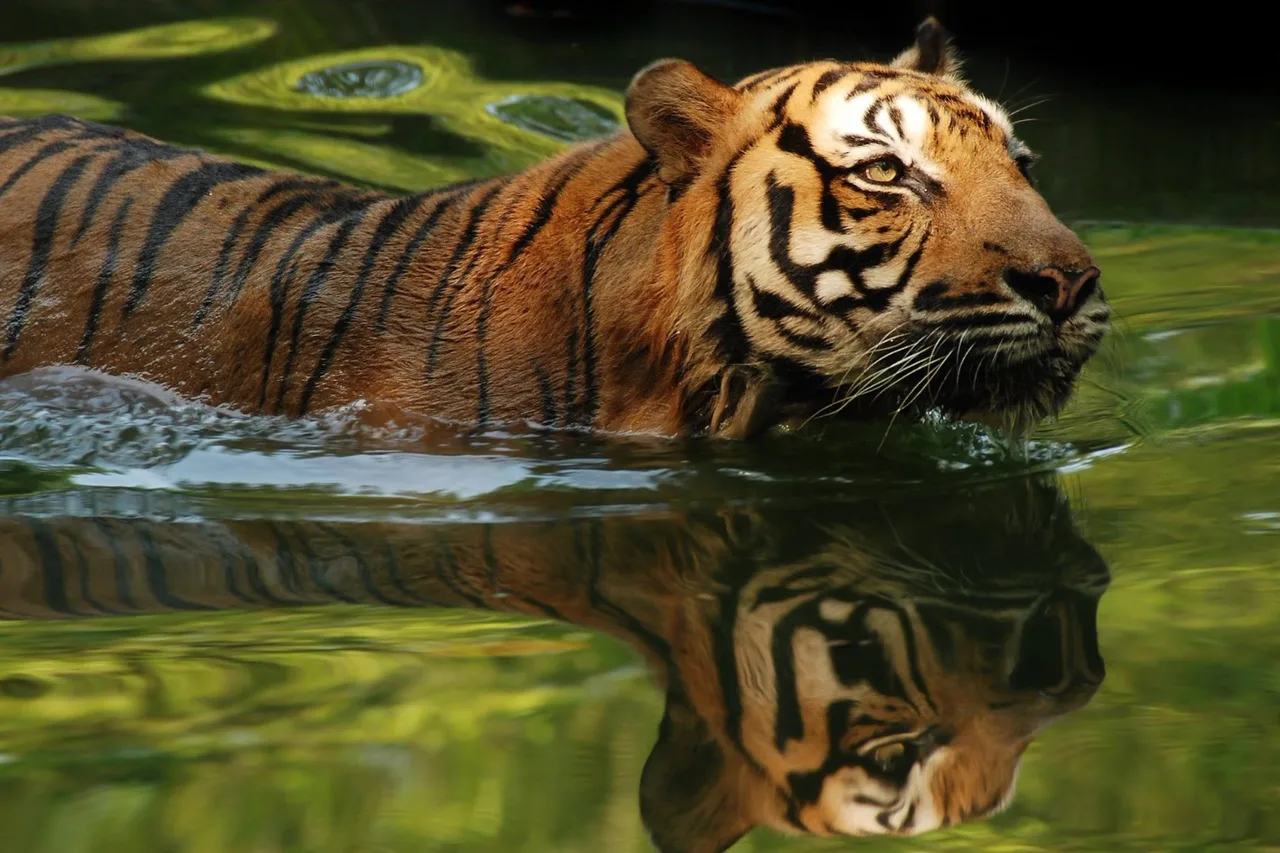 Zoo Negara Ticket in Malaysia 