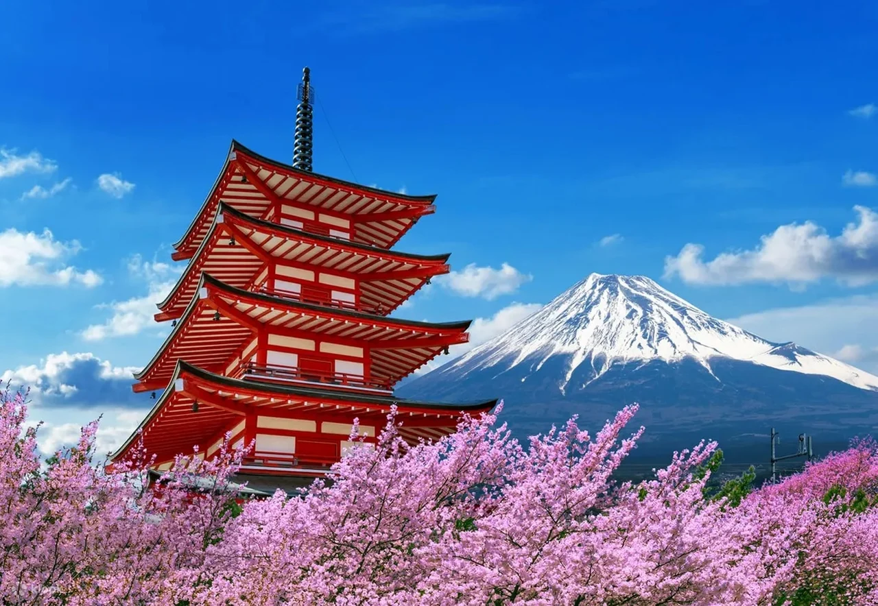Mount Fuji One-Day Sightseeing Tour with Cable Car