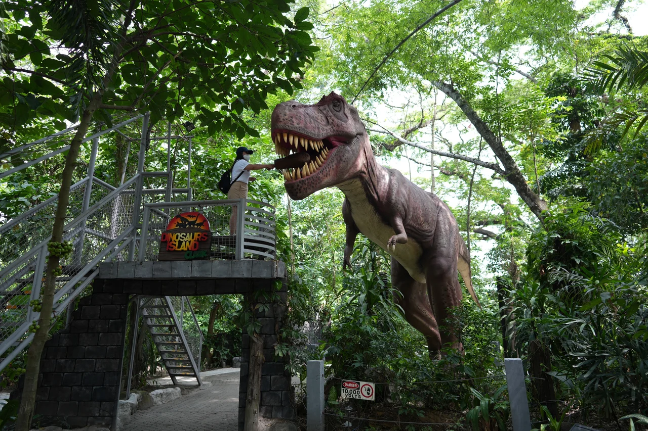 Dinosaurs Island Ticket in Clark